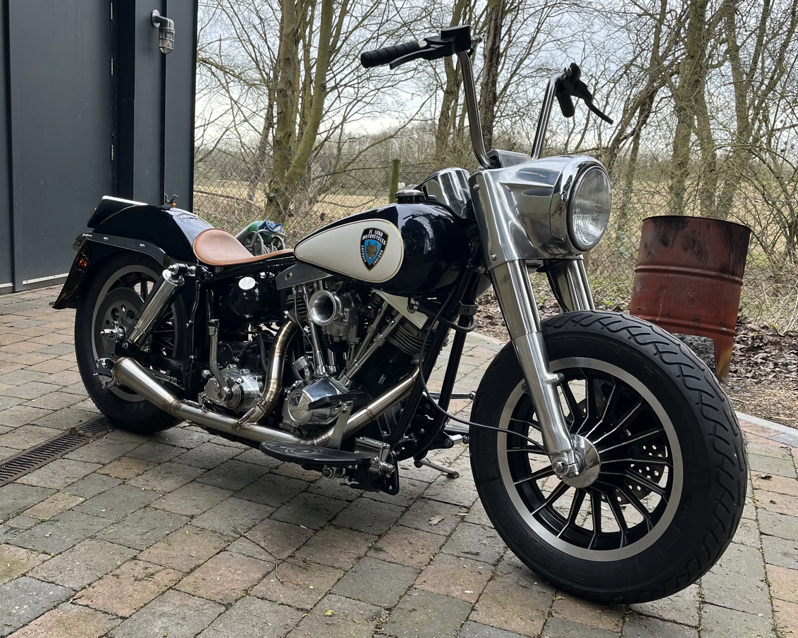Bikes ShovelAround Kojak