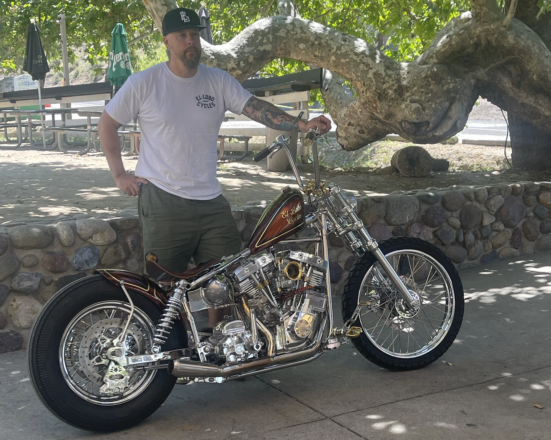 Bikes StainlessSwingarmShovels Bear