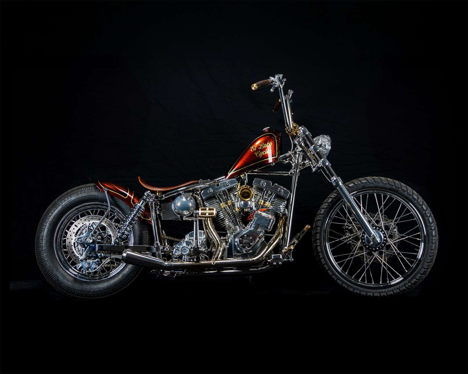 Bikes StainlessSwingarmShovels Bear