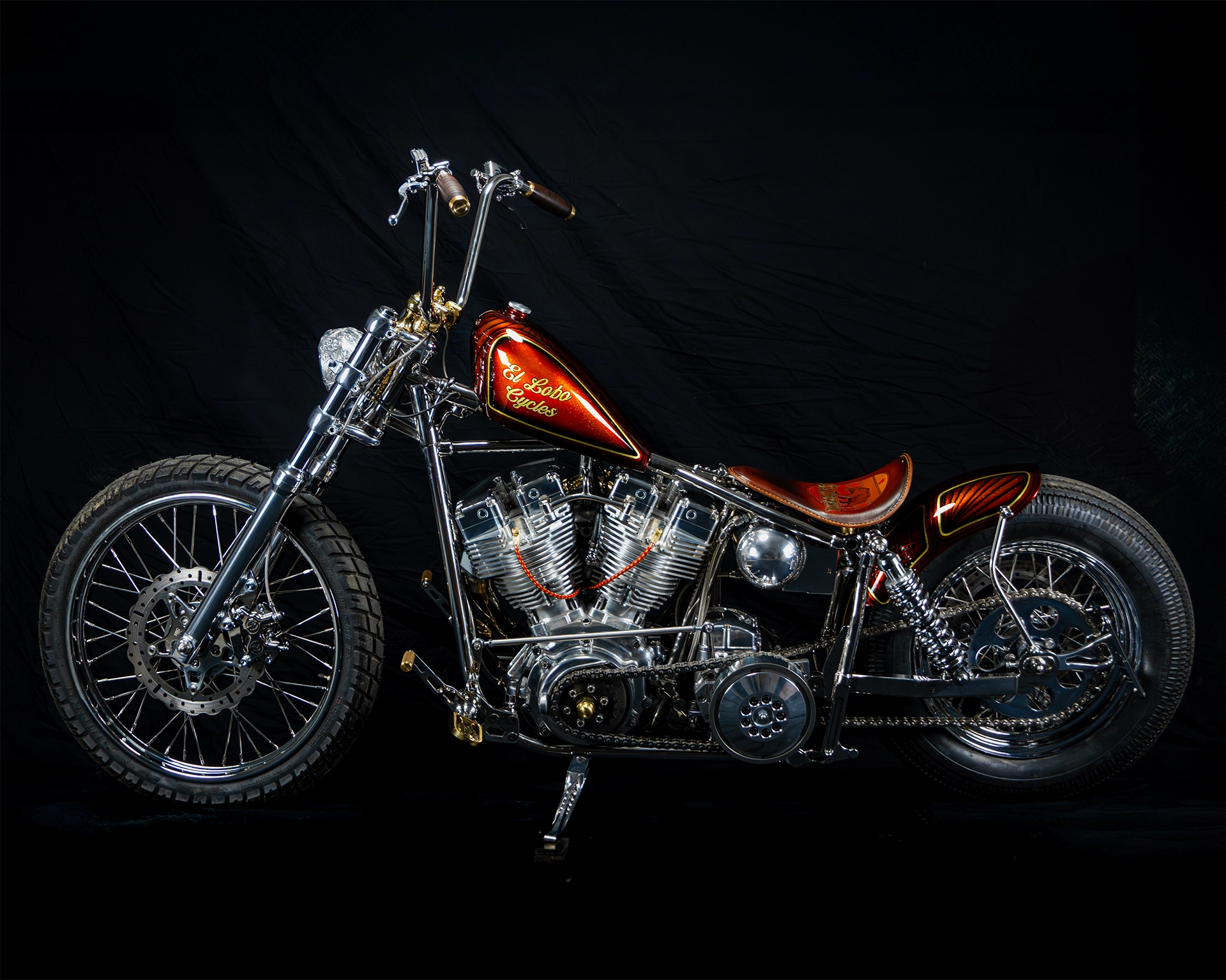 Bikes StainlessSwingarmShovels Bear
